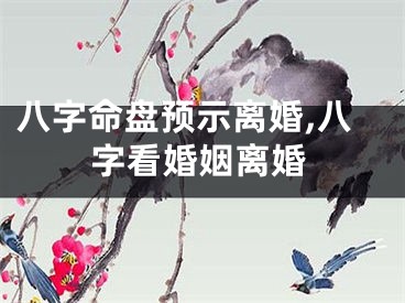 八字命盘预示离婚,八字看婚姻离婚