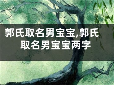 郭氏取名男宝宝,郭氏取名男宝宝两字
