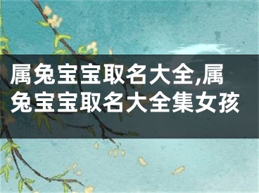 属兔宝宝取名大全,属兔宝宝取名大全集女孩