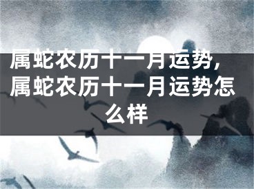 属蛇农历十一月运势,属蛇农历十一月运势怎么样