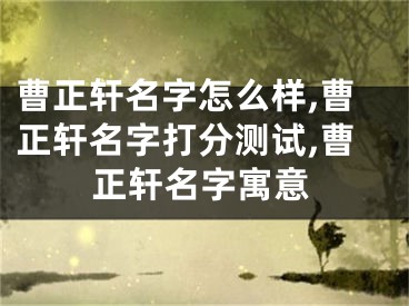 曹正轩名字怎么样,曹正轩名字打分测试,曹正轩名字寓意