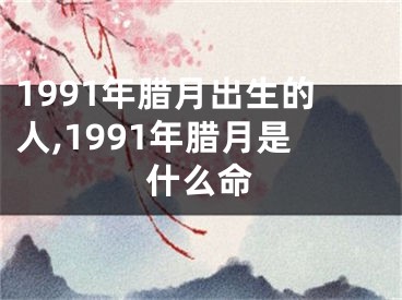 1991年腊月出生的人,1991年腊月是什么命
