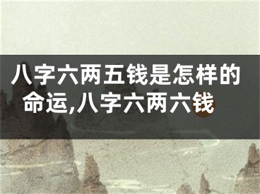 八字六两五钱是怎样的命运,八字六两六钱