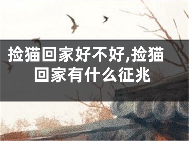 捡猫回家好不好,捡猫回家有什么征兆