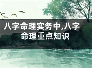 八字命理实务中,八字命理重点知识