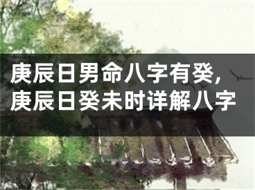 庚辰日男命八字有癸,庚辰日癸未时详解八字
