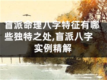 盲派命理八字特征有哪些独特之处,盲派八字实例精解