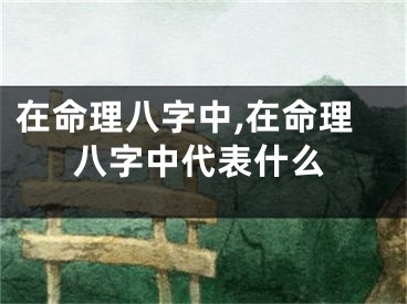 在命理八字中,在命理八字中代表什么