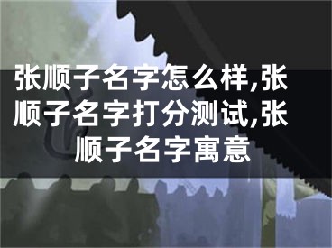 张顺子名字怎么样,张顺子名字打分测试,张顺子名字寓意