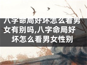 八字命局好坏怎么看男女有别吗,八字命局好坏怎么看男女性别