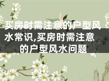 买房时需注意的户型风水常识,买房时需注意的户型风水问题