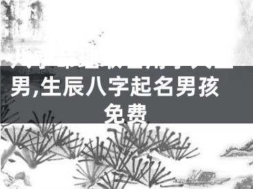 八字命理取名用字大全男,生辰八字起名男孩免费