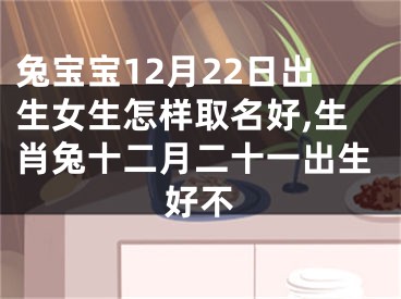 兔宝宝12月22日出生女生怎样取名好,生肖兔十二月二十一出生好不