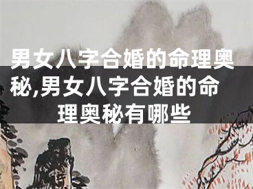男女八字合婚的命理奥秘,男女八字合婚的命理奥秘有哪些