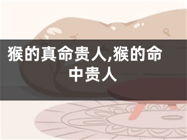 猴的真命贵人,猴的命中贵人