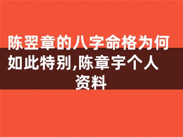 陈翌章的八字命格为何如此特别,陈章宇个人资料