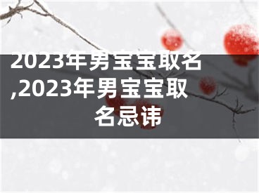 2023年男宝宝取名,2023年男宝宝取名忌讳