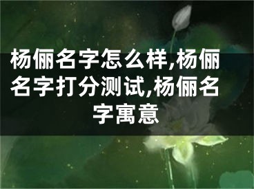 杨俪名字怎么样,杨俪名字打分测试,杨俪名字寓意