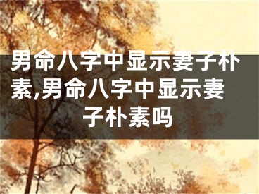 男命八字中显示妻子朴素,男命八字中显示妻子朴素吗