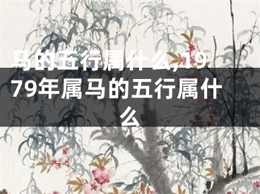 马的五行属什么,1979年属马的五行属什么