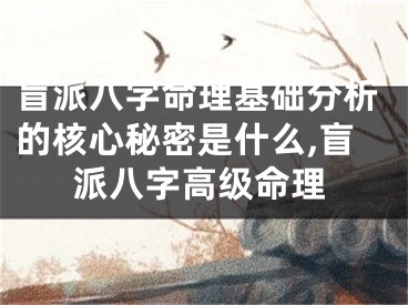 盲派八字命理基础分析的核心秘密是什么,盲派八字高级命理