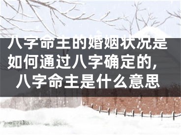 八字命主的婚姻状况是如何通过八字确定的,八字命主是什么意思
