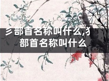 彡部首名称叫什么,犭部首名称叫什么