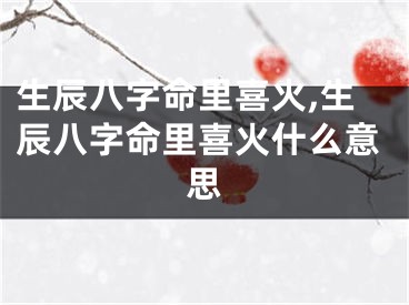 生辰八字命里喜火,生辰八字命里喜火什么意思