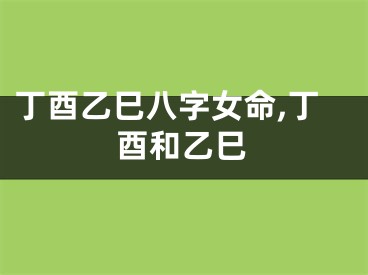 丁酉乙巳八字女命,丁酉和乙巳