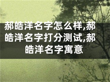 郝皓洋名字怎么样,郝皓洋名字打分测试,郝皓洋名字寓意