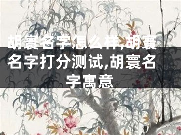 胡寰名字怎么样,胡寰名字打分测试,胡寰名字寓意