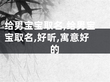 给男宝宝取名,给男宝宝取名,好听,寓意好的