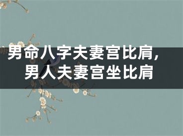 男命八字夫妻宫比肩,男人夫妻宫坐比肩