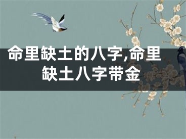 命里缺土的八字,命里缺土八字带金