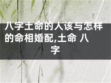 八字土命的人该与怎样的命相婚配,土命 八字