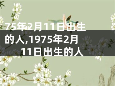 75年2月11日出生的人,1975年2月11日出生的人