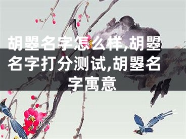 胡曌名字怎么样,胡曌名字打分测试,胡曌名字寓意