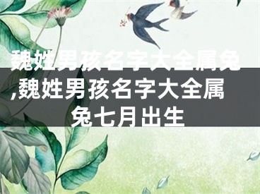 魏姓男孩名字大全属兔,魏姓男孩名字大全属兔七月出生