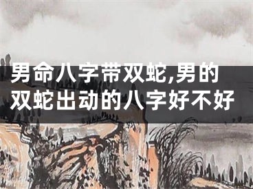 男命八字带双蛇,男的双蛇出动的八字好不好