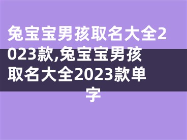 兔宝宝男孩取名大全2023款,兔宝宝男孩取名大全2023款单字
