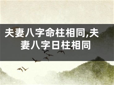 夫妻八字命柱相同,夫妻八字日柱相同