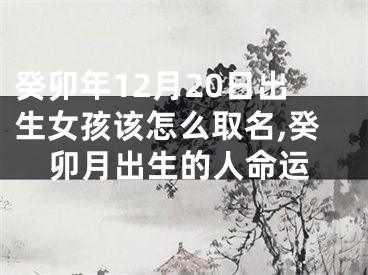 癸卯年12月20日出生女孩该怎么取名,癸卯月出生的人命运