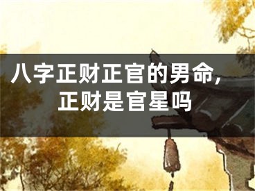 八字正财正官的男命,正财是官星吗