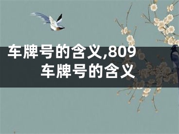 车牌号的含义,809车牌号的含义