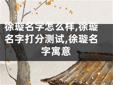 徐璇名字怎么样,徐璇名字打分测试,徐璇名字寓意