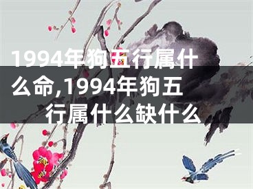 1994年狗五行属什么命,1994年狗五行属什么缺什么