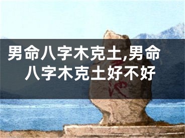 男命八字木克土,男命八字木克土好不好
