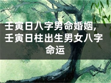 壬寅日八字男命婚姻,壬寅日柱出生男女八字命运