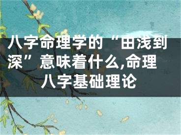 八字命理学的“由浅到深”意味着什么,命理八字基础理论