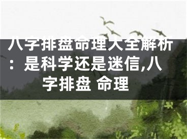 八字排盘命理大全解析：是科学还是迷信,八字排盘 命理